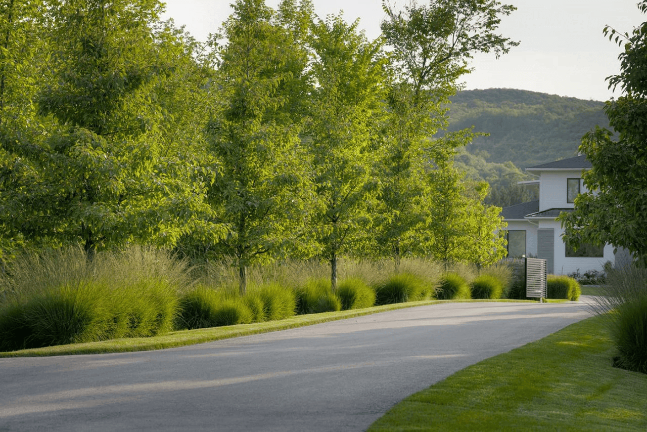Set on a three-acre lot within a forested ravine in The Blue Mountains, Ontario